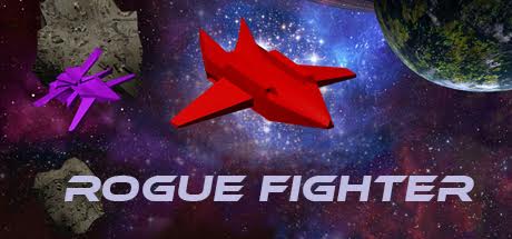 Rogue Fighter